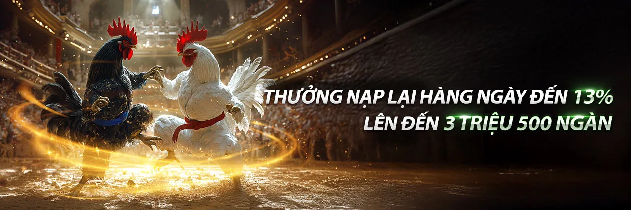Đá Gà Trực Tuyến 79king1 Đăng Nhập